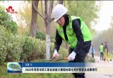 2023年菏泽市职工职业技能大赛园林绿化养护修剪总决赛举行