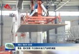 曹县：链式发展 千亿级林木加工产业绿色崛起
