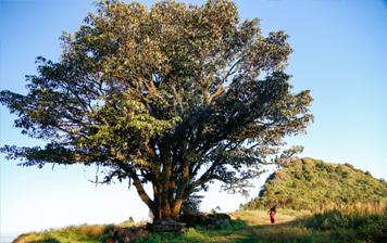 云南西盟、孟连：依托多彩民族文化，打造文化旅游新篇章