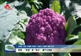 菏泽：“冬闲”变“冬忙” 增产又增收
