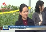 中华女子学院国际教育学院院长李莹一行来菏开展社会实践活动