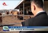 【深入开展“三亮”行动 创新提升营商环境】 牡丹区：优化营商环境 激活高质量发展强磁场