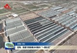 定陶：党建引领+ 助推乡村振兴“一路生花”