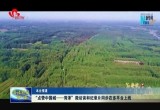 “点赞中国城——菏泽”微访谈和纪录片同步在多平台上线