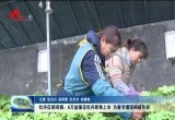 牡丹区都司镇：6万盆催花牡丹即将上市 为春节增添绚丽色彩