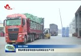曹临到曹县督导检查农业领域安全生产工作