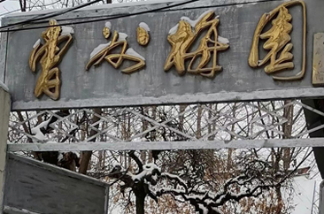 再访梅园（散文）