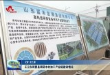 王卫东到曹县调研木材加工产业链建设情况