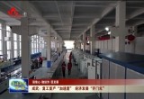 【强信心 稳经济 促发展】成武：复工复产“加速度” 经济发展“开门红”