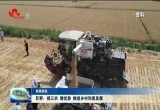 【新春新政】巨野：抓三农 增优势 推进乡村和美发展