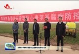 菏泽市春季麦田管理暨小麦茎基腐病防控现场会召开