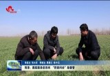 菏泽：跟踪服务进田间 “把麦问诊”助春管
