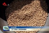 二月二龙抬头 多彩民俗迎春来