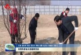 市领导参加义务植树活动