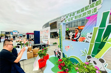  菏泽牡丹与熊猫“花花”千里相约！ 