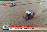 菏泽：筑牢“三农”压舱石 乡村振兴实现新突破
