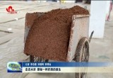 走近水浒 探秘一杯好酒的诞生