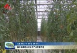 聂元科在牡丹区鲁西新区调研时强调：发展壮大特色产业 推动乡村全面振兴