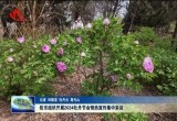 菏泽市组织开展2024牡丹节会预热宣传集中采访