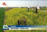 踏青出游热度攀升 文明旅游不负春光