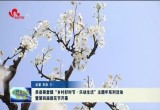 单县蔡堂镇“乡村好时节·乐动生活”主题年系列活动暨第四届梨花节开幕