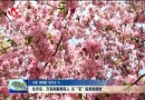 牡丹区：万亩海棠醉游人 以“花”促旅助增收