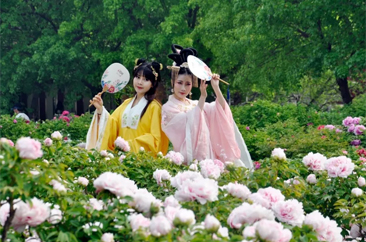  牡丹之都绽放时代芳华 