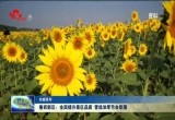 菏泽鲁西新区：全面提升景区品质 营造浓厚节会氛围