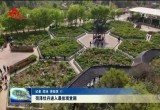  菏泽牡丹进入最佳观赏期 