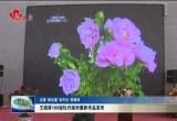 王超英160组牡丹延时摄影作品发布