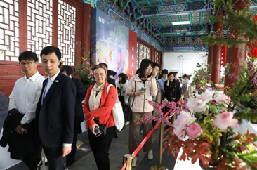  牡丹为媒 发现了一个“全新”的菏泽——“2024境外驻华机构齐鲁行——走进菏泽”活动侧记 