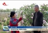 牡丹花开正当时 再赏牡丹仍醉人