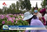 花海盛景引客来 邂逅方知国色香