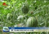 定陶：第九届南王店西瓜节将于4月27日开幕