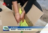 城投菜篮子：培育现代农业 助力乡村振兴