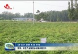 菏泽：特色产业激发乡村振兴新活力