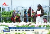 菏泽：擦亮“花样”底色 推动文旅产业发展
