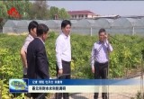 聂元科到市农科院调研