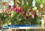 黄秀玲到定陶区调研