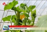 巨野：万亩塌陷地变身生态产业园
