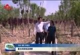 菏泽市委副书记聂元科到单县调研