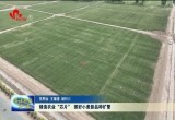 菏泽市铸造农业“芯片” 抓好小麦新品种扩繁
