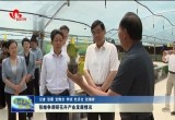 张继争调研花卉产业发展情况