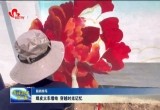 绿皮火车墙绘 穿越时光记忆