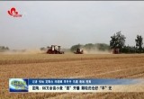 定陶：66万余亩小麦“喜”开镰 颗粒归仓好“丰”光