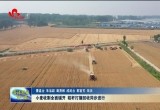 菏泽市小麦收割全面铺开 秸秆打捆回收同步进行