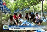【打造乡村振兴齐鲁样板】定陶：跨村联建解锁共富密码