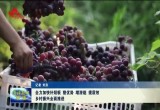 菏泽：全力加快补短板 塑优势 增潜能 提质效 乡村振兴全面推进