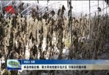 单县李新庄镇：聚力同创党建示范片区 引领乡村振兴路