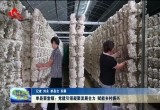 单县蔡堂镇：党建引领凝聚发展合力 赋能乡村振兴